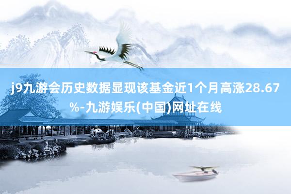 j9九游会历史数据显现该基金近1个月高涨28.67%-九游娱乐(中国)网址在线