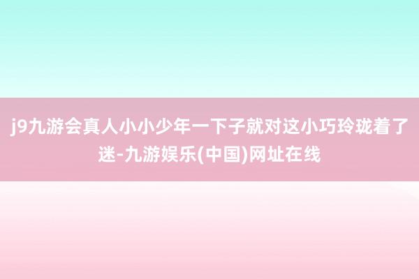 j9九游会真人小小少年一下子就对这小巧玲珑着了迷-九游娱乐(中国)网址在线