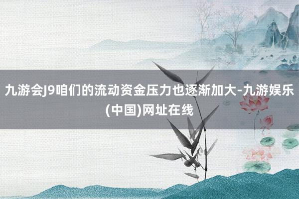 九游会J9咱们的流动资金压力也逐渐加大-九游娱乐(中国)网址在线
