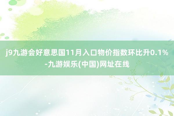 j9九游会好意思国11月入口物价指数环比升0.1%-九游娱乐(中国)网址在线