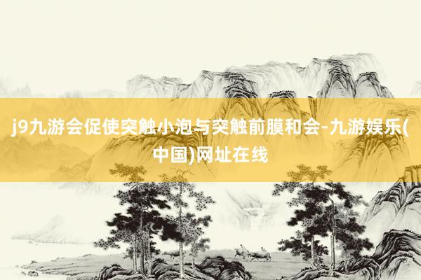 j9九游会促使突触小泡与突触前膜和会-九游娱乐(中国)网址在线