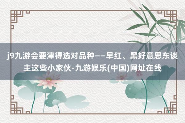 j9九游会要津得选对品种——早红、黑好意思东谈主这些小家伙-九游娱乐(中国)网址在线