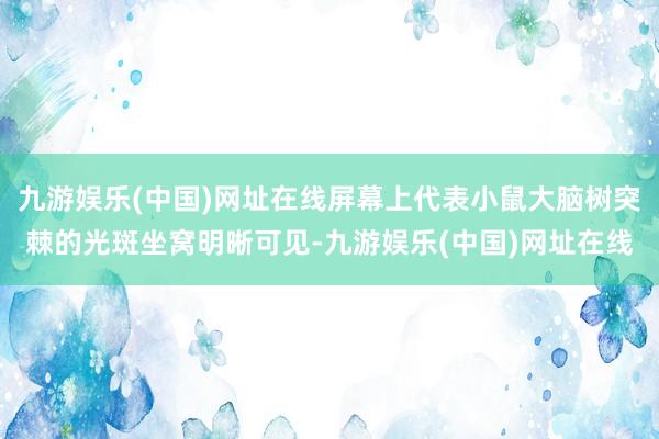 九游娱乐(中国)网址在线屏幕上代表小鼠大脑树突棘的光斑坐窝明晰可见-九游娱乐(中国)网址在线